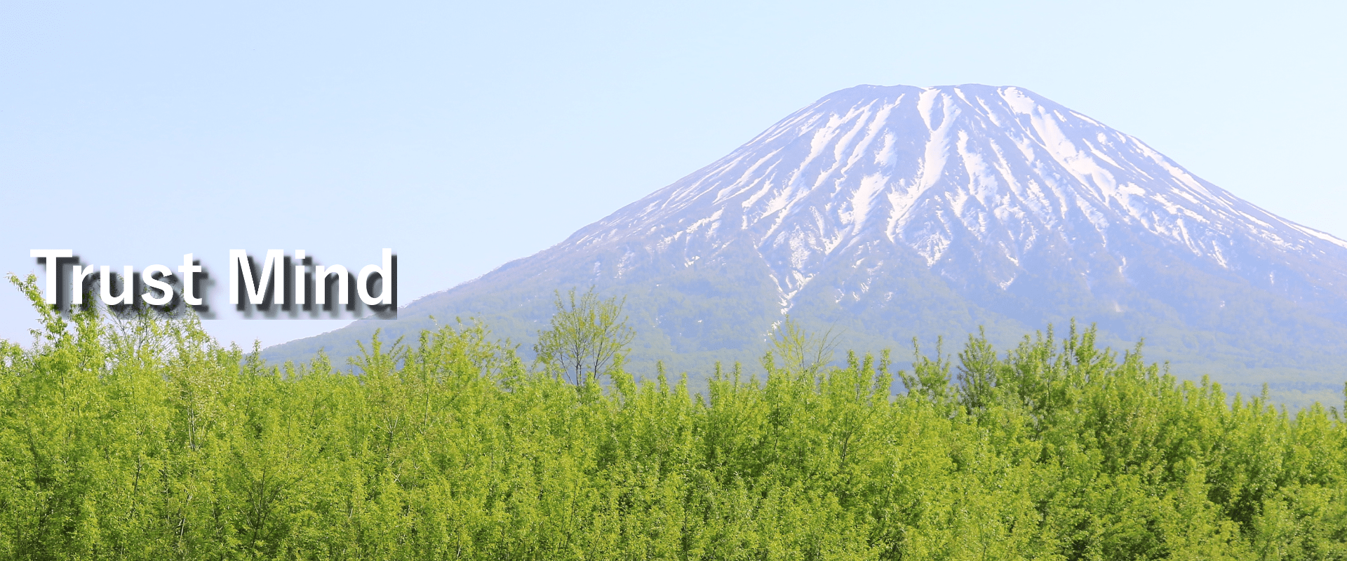 有限会社トラスト・イン